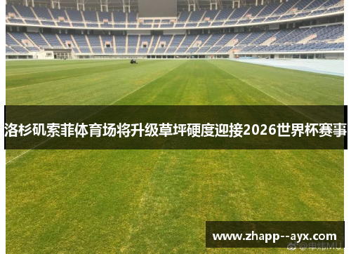 洛杉矶索菲体育场将升级草坪硬度迎接2026世界杯赛事