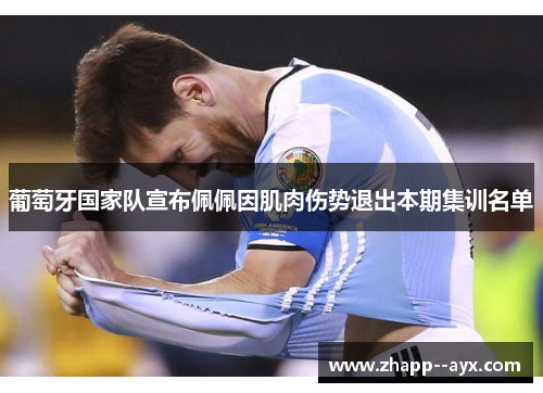 葡萄牙国家队宣布佩佩因肌肉伤势退出本期集训名单